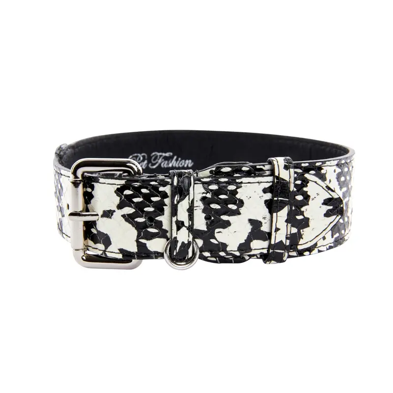 Black & White Snake/Classic Collar With Silver Hardware