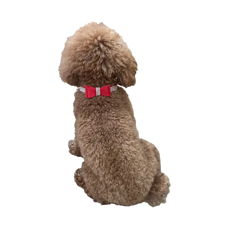 Bow Tie Dog Collar in Pleather, Red