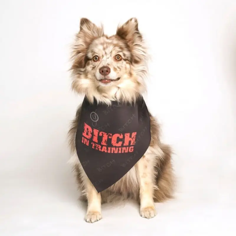 Bitch in Training Dog Bandana by Dog Fashion Living