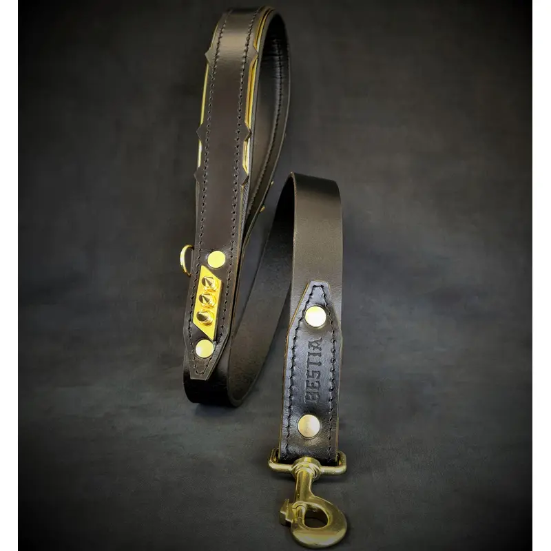 The ''Midas'' leash