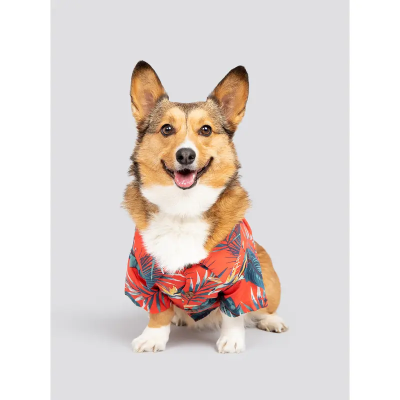 Jungle Bird BBQ Shirt