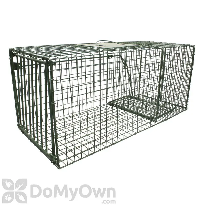 Duke Live Animal Cage Trap, Large 26inX12inX12in