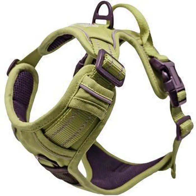 Aspen Venture Paw Doggie Design