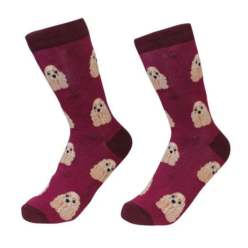 Pet Socks - Cocker Spaniel