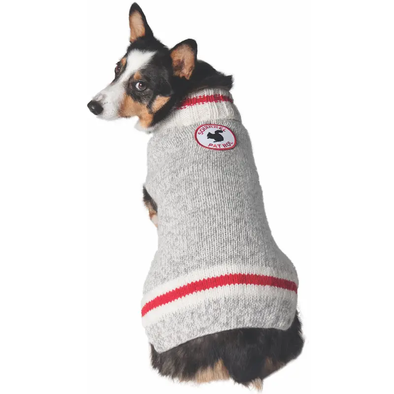 Squirrel Patrol Sweater