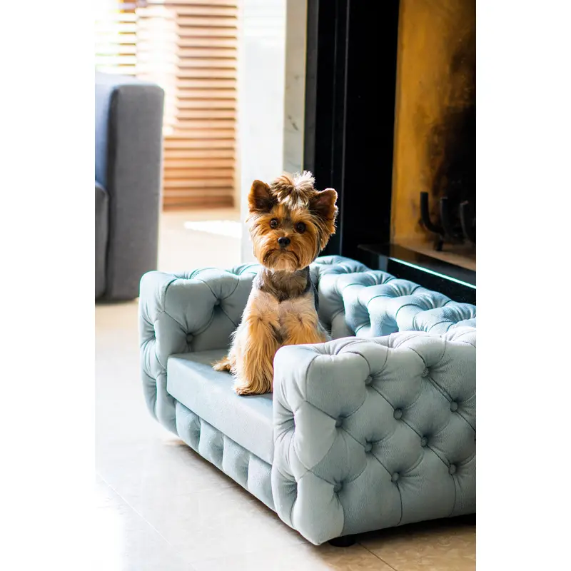 The Glamour Luxury Pet Bed in Blue