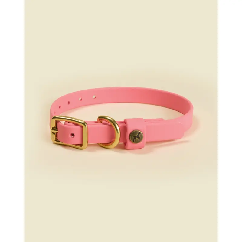 Sporting Puppy Collar - Coral