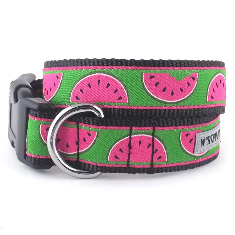 Watermelon Collar & Lead Collection