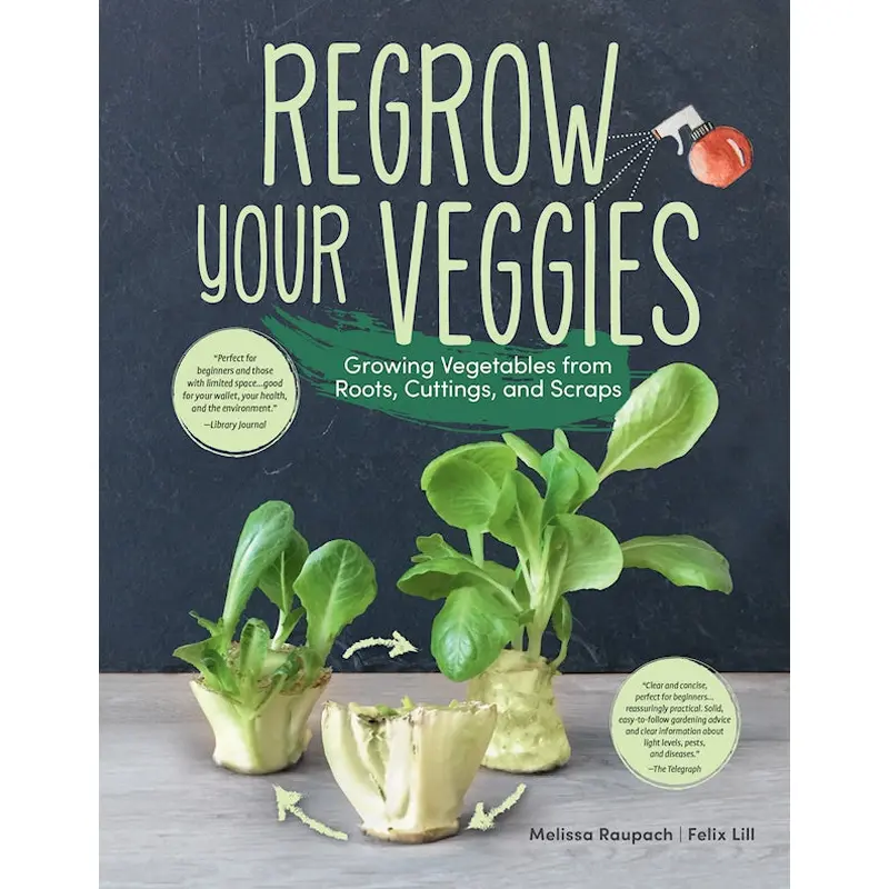 Regrow Your Veggies
