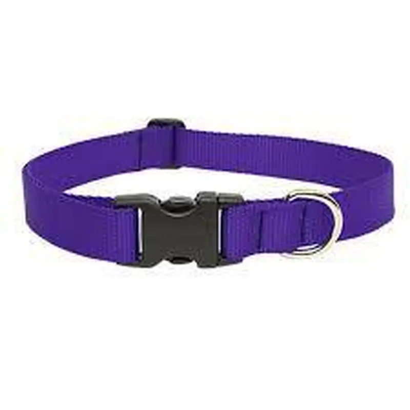 Lupine 1in Purple 12-20 Adj Collar