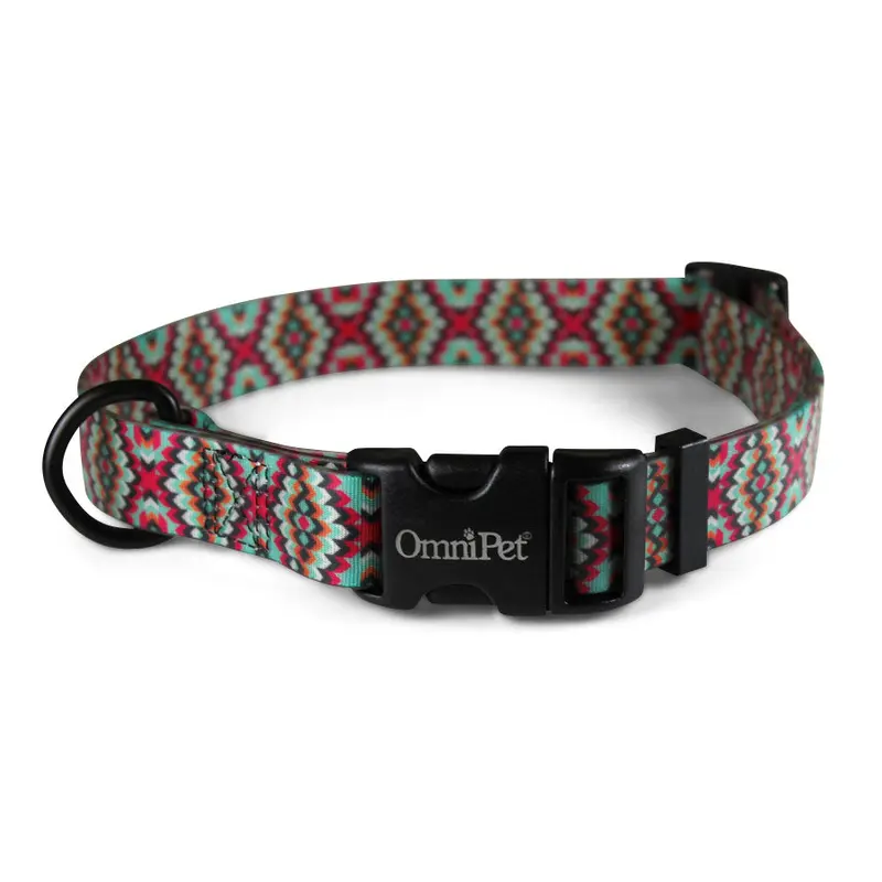 Aztek Attitudz Biothane Dog Collar / Lead