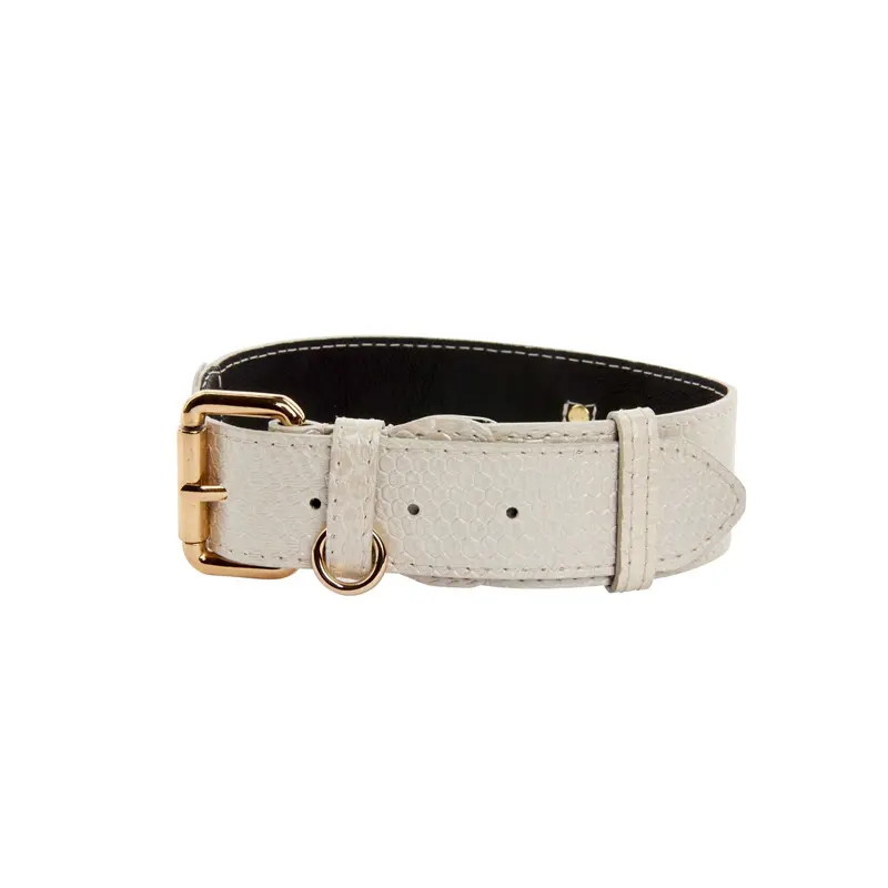 Iridescent Off White Snake Collar With Gold Classic Hardware