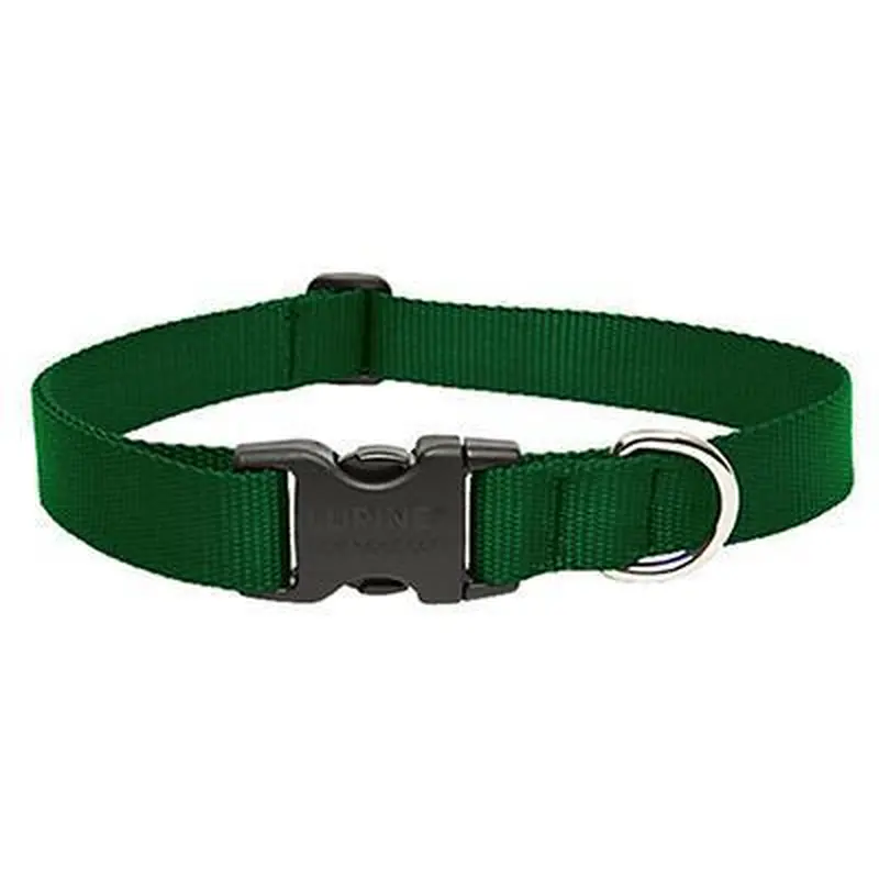 Lupine 1" Collar 16"- 28" Adj Green