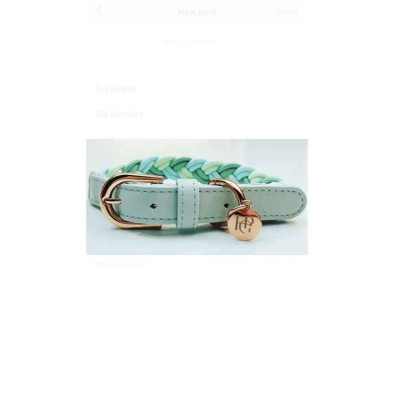 Dog Collar Aquamarine Plaited