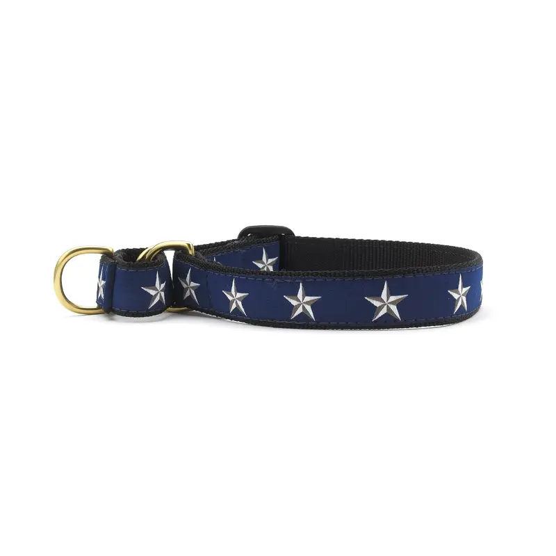 North Star Martingale