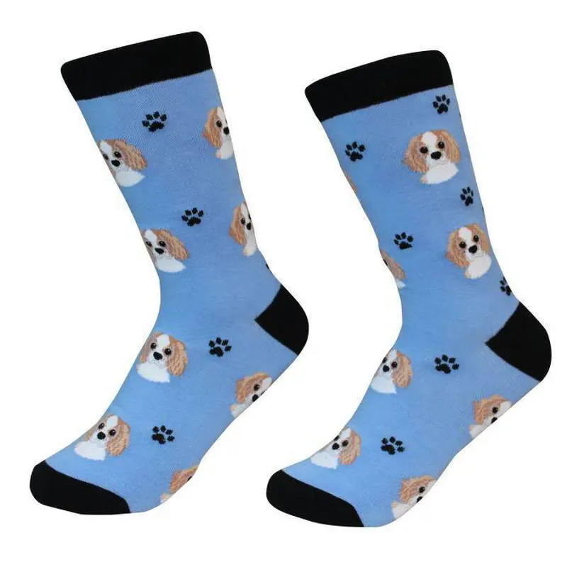 Pet Socks - Cavalier King Charles
