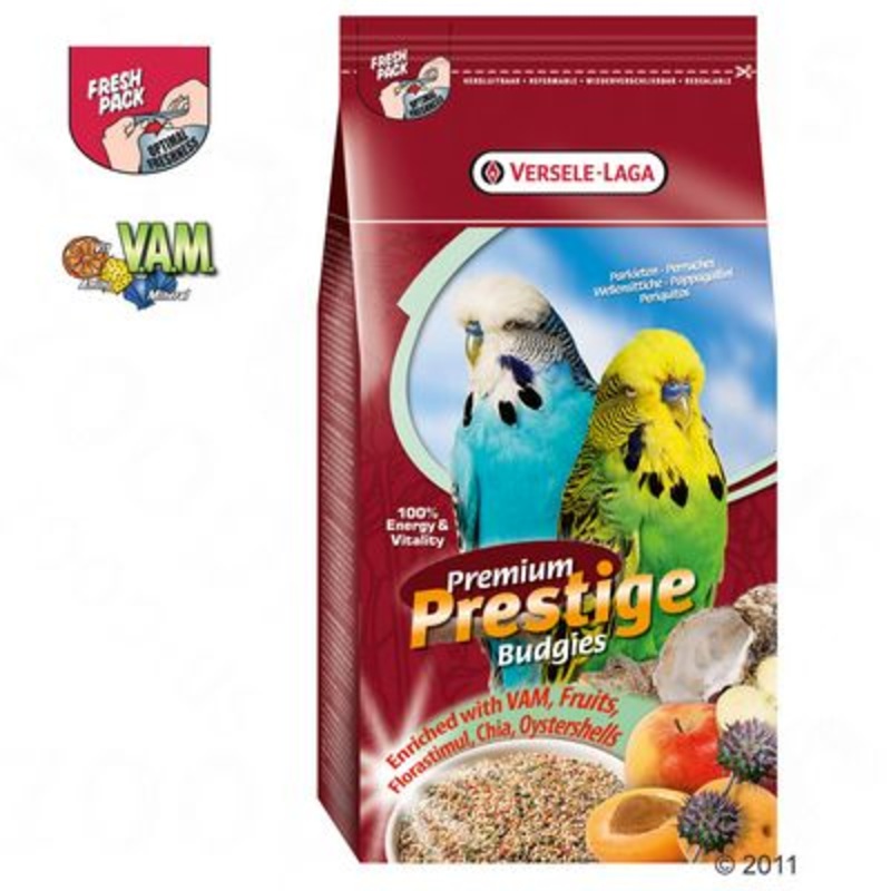 Prestige Premium Budgie